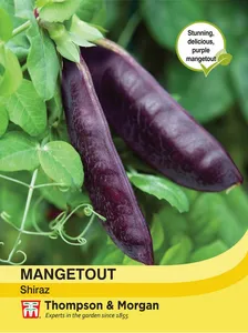 Mangetout Shiraz - image 1