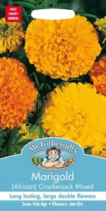 Marigold (African) Crackerjack Mixed - image 1