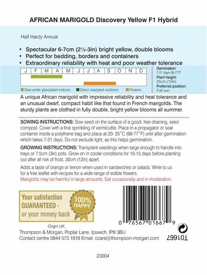 Marigold (African) Discovery Yellow F1 - image 2