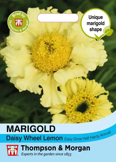 Marigold Daisy Wheel Lemon - image 1