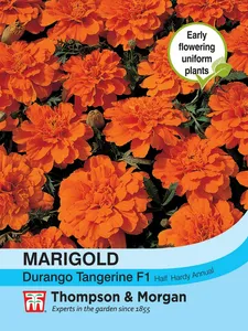 Marigold Durango Tangerine F1 - image 1