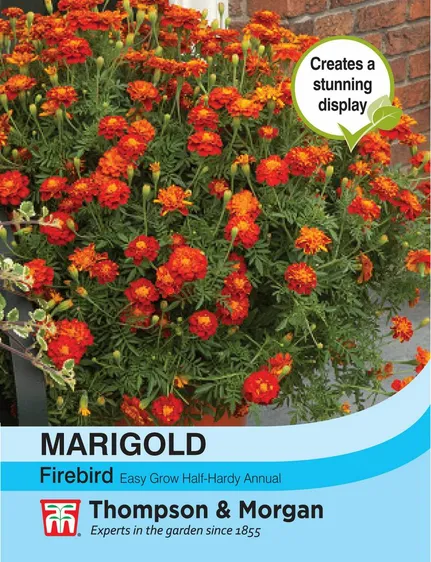 Marigold Firebird - image 1