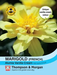 Marigold (French) Alumia Vanilla Cream - image 1