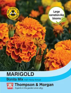 Marigold (French) Bonita Mixed - image 1