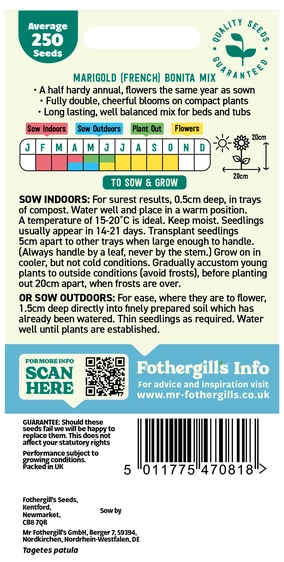 Marigold (French) Bonita Mixed Seeds - image 2