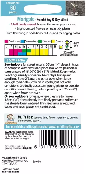 Marigold (French) Boy-O-Boy Mixed - image 2