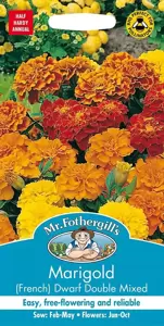 Marigold (French) Dwarf Double Mixed - image 1