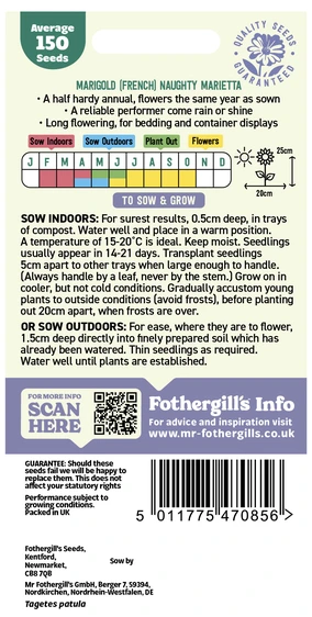Marigold (French) Naughty Marietta Seeds - image 2
