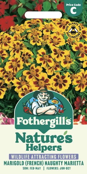 Marigold (French) Naughty Marietta Seeds - image 1