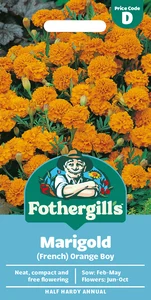 Marigold (French) Orange Boy Seeds - image 1