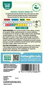 Marigold (French) Orange Boy Seeds - image 2