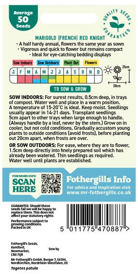 Marigold (French) Red Knight Seeds - image 2