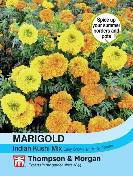 Marigold Indian Kushi Mix - image 1