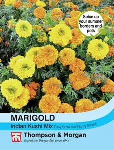 Marigold Indian Kushi Mix - image 1