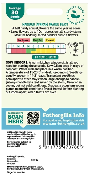 Marigold Orange Beast - image 2