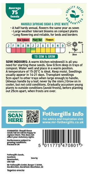 Marigold Sugar and Spice White - image 2