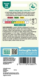 Marigold Sugar and Spice White - image 2