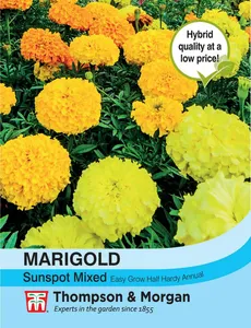 Marigold Sunspot Mixed - image 1