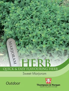 Marjoram Sweet - image 1