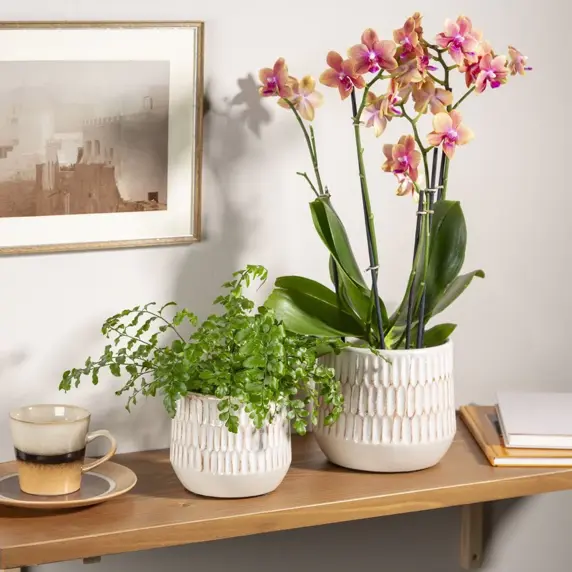 Mavi Alabaster Pot Ø19cm - image 1