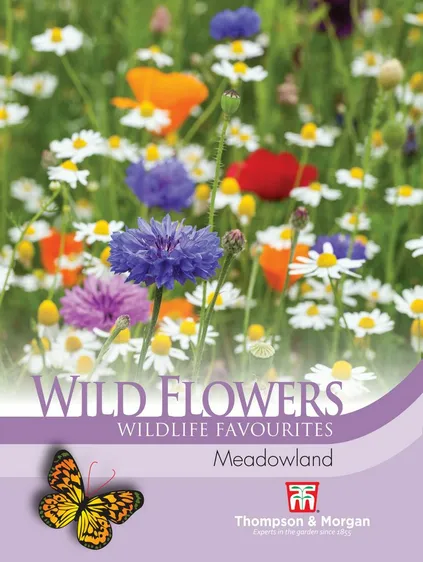 Meadowland Wildflower Mix - image 1