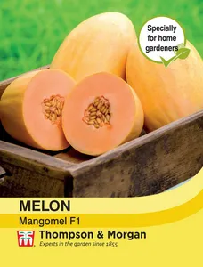 Melon Mangomel F1 - image 1