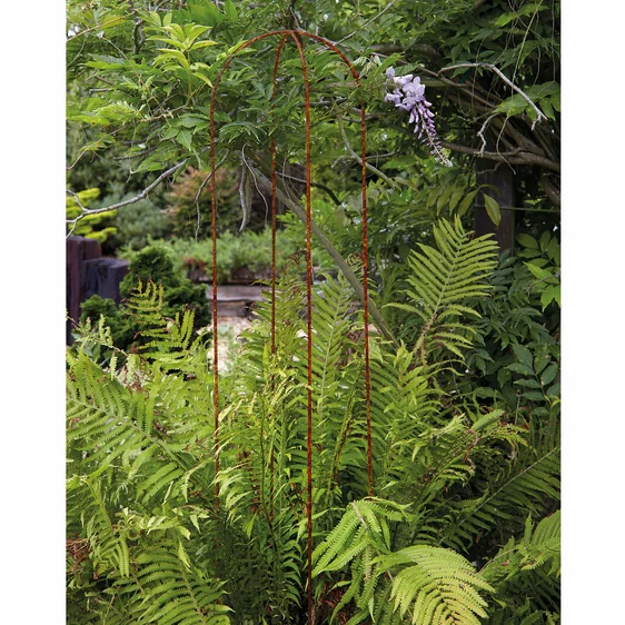 Metal Hoop Plant Supports - 60cm - image 1