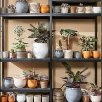 Mica Decorations Pots & Vases