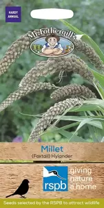 Millet (Foxtail) Hylander - image 1