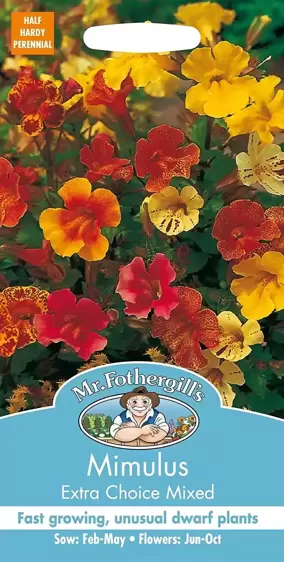 Mimulus Extra Choice Mixed - image 1