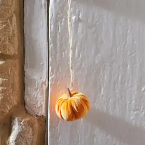 Mini Hanging Pumpkins - Bold Colours - Single - image 4