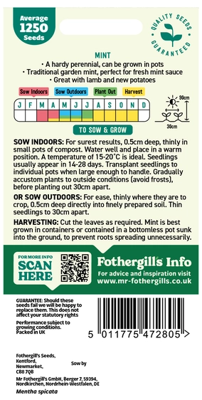Mint - image 2