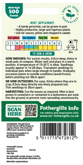 Mint (Applemint) - image 2