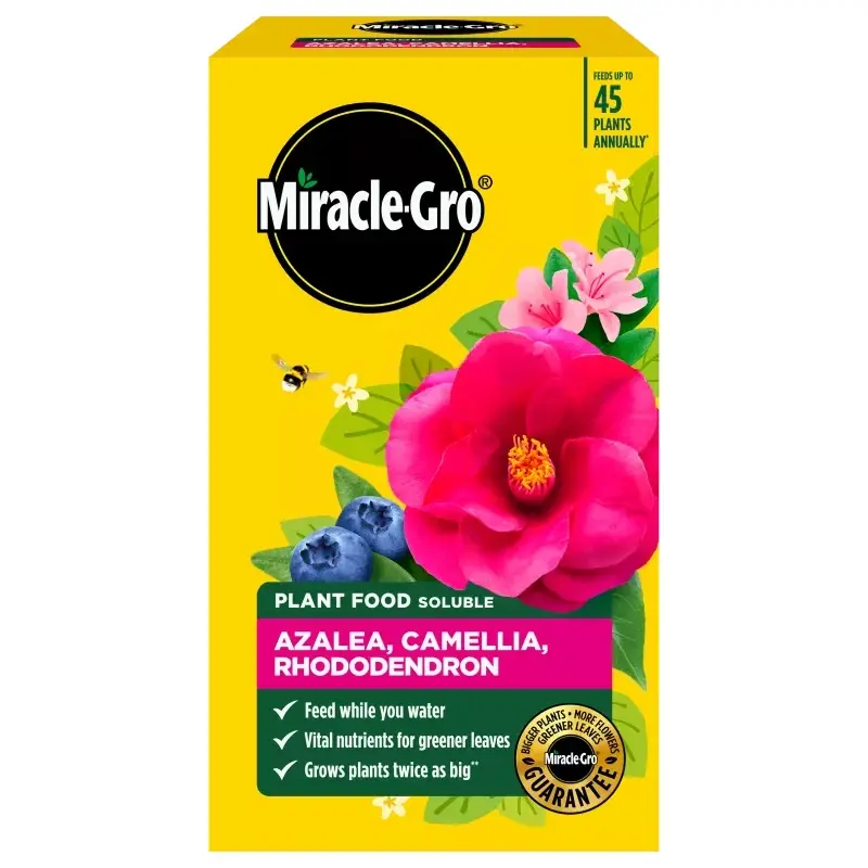 Miracle-Gro Azalea, Camellia & Rhododendron Food 500g - Cowell's
