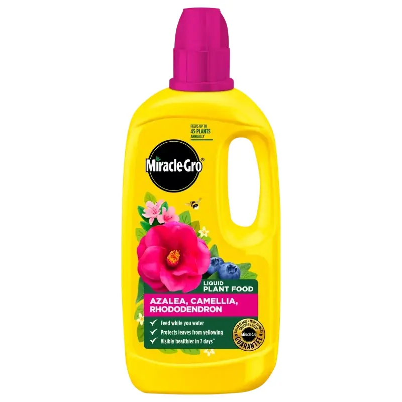 【miracle】 Miracle-Gro Azalea, Camellia & Rhododendron Liquid Food - Cowell's