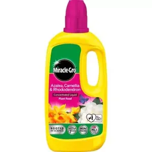 Miracle-Gro Azalea, Camellia & Rhododendron Liquid Food - image 1