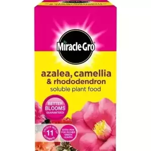 Miracle-Gro Azalea, Camellia & Rhododendron Food 1kg