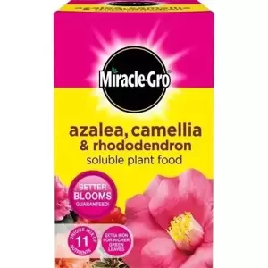 Miracle-Gro Azalea, Camellia & Rhododendron Food 500g