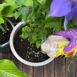 Miracle-Gro Premium All Purpose Plant Food 900g - image 2