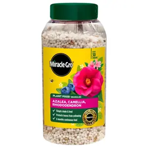 Miracle-Gro Premium Azalea, Camellia & Rhododendron Food