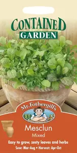 Mixed Mesclun - image 1