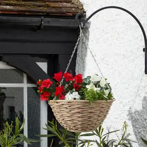Mocha Hanging Basket 35cm