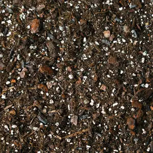 Monstera & Philodendron Soil Mix Blend 5L - image 1