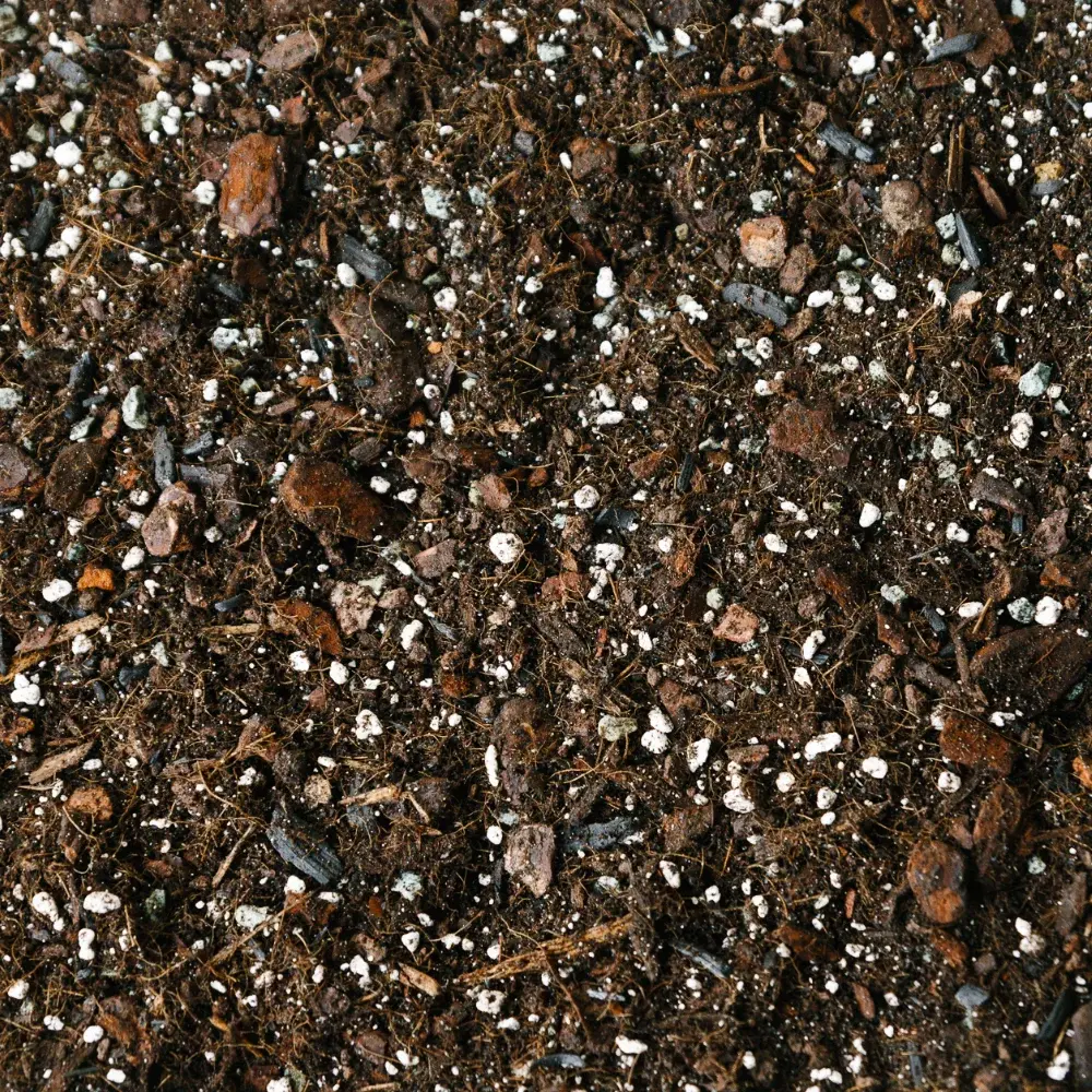 Soil Ninja Monstera & Philodendron Soil Mix Blend 2.5L - Cowell's