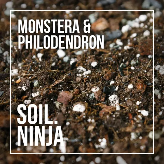 Monstera & Philodendron Soil Mix Blend 5L - image 2