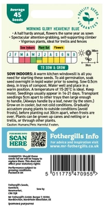 Morning Glory Heavenly Blue - image 2