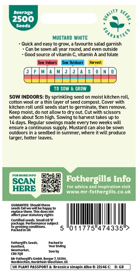 Mustard White - image 2