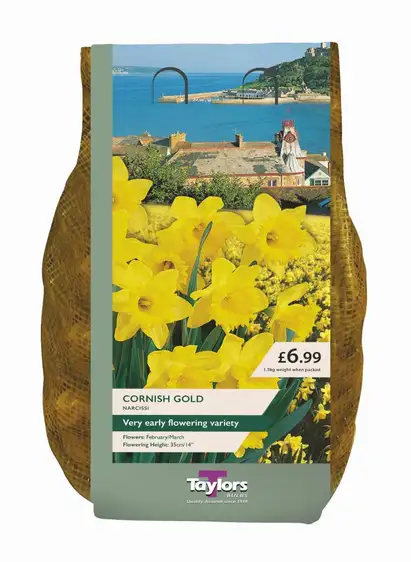 Narcissi Cornish Gold Carri-Pack