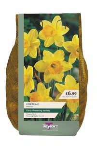 Narcissi Fortune Carri-Pack