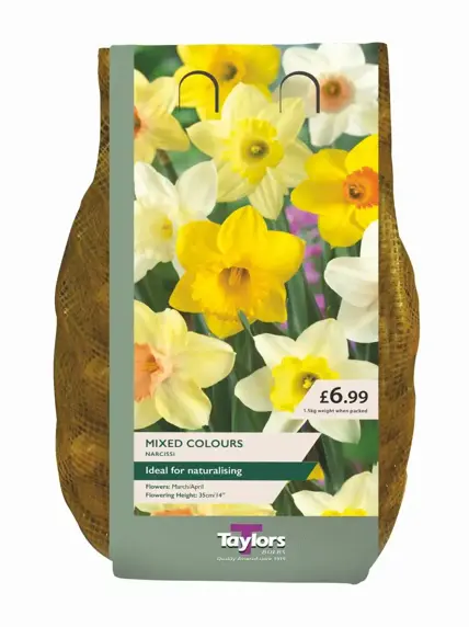 Narcissi Mixed Carri-Pack